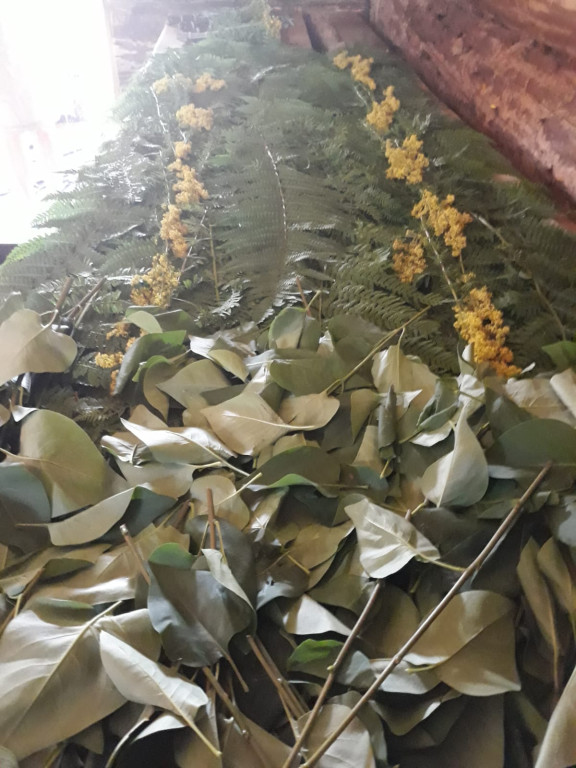 Abavas Laivas - 